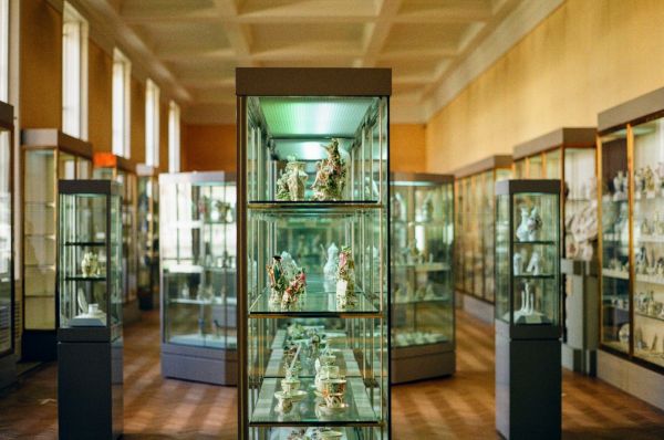 Vitrines en verre : l'atout majeur pour sublimer vos objets